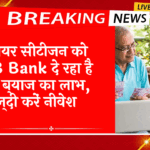 FD Scheme vs Stocks: सीनियर सिटीजन को PNB बैंक दे रहा है तगड़े ब्याज का लाभ, जल्दी करें निवेश