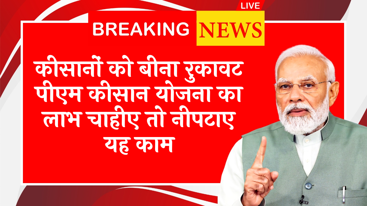 Whose Payment Can Be Delayed