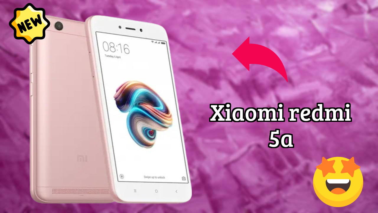 Xiaomi Redmi 5A Camera Review: 13 MP Rear Camera Photo Samples